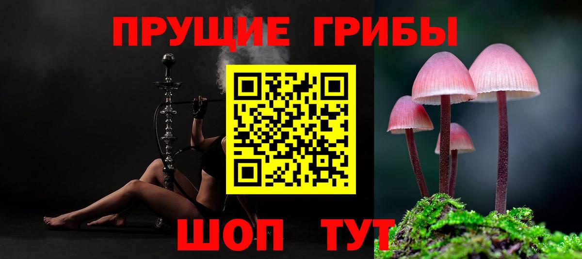 Псилоцибиновые грибы Psilocybe  Вход с VPN  Галлюциногенные грибы ЛСД  Усолье-Сибирское 